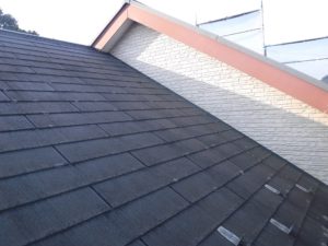 DSCF0646