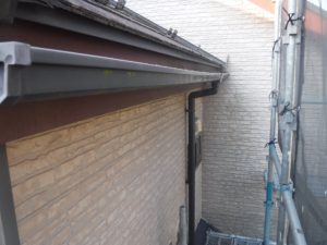 DSCF0647