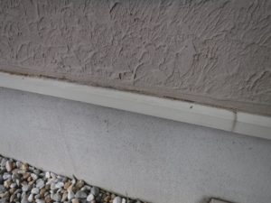 DSCF0670