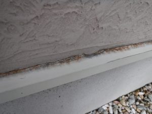 DSCF0700