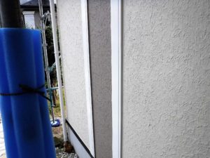 DSCF1137