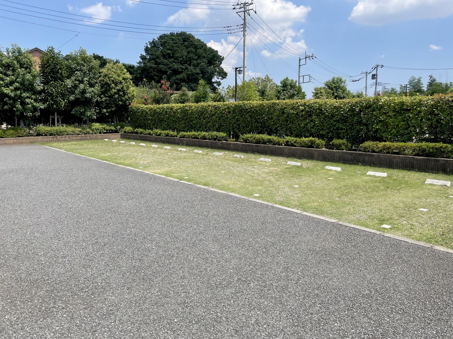 アスファルトの照り返し