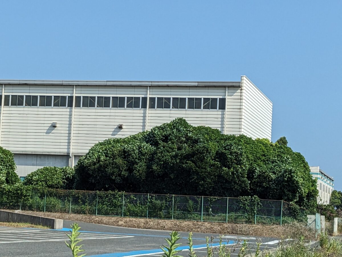 暑さ対策