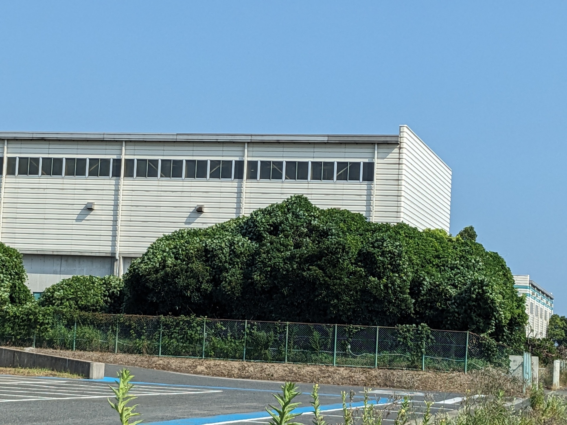 暑さ対策