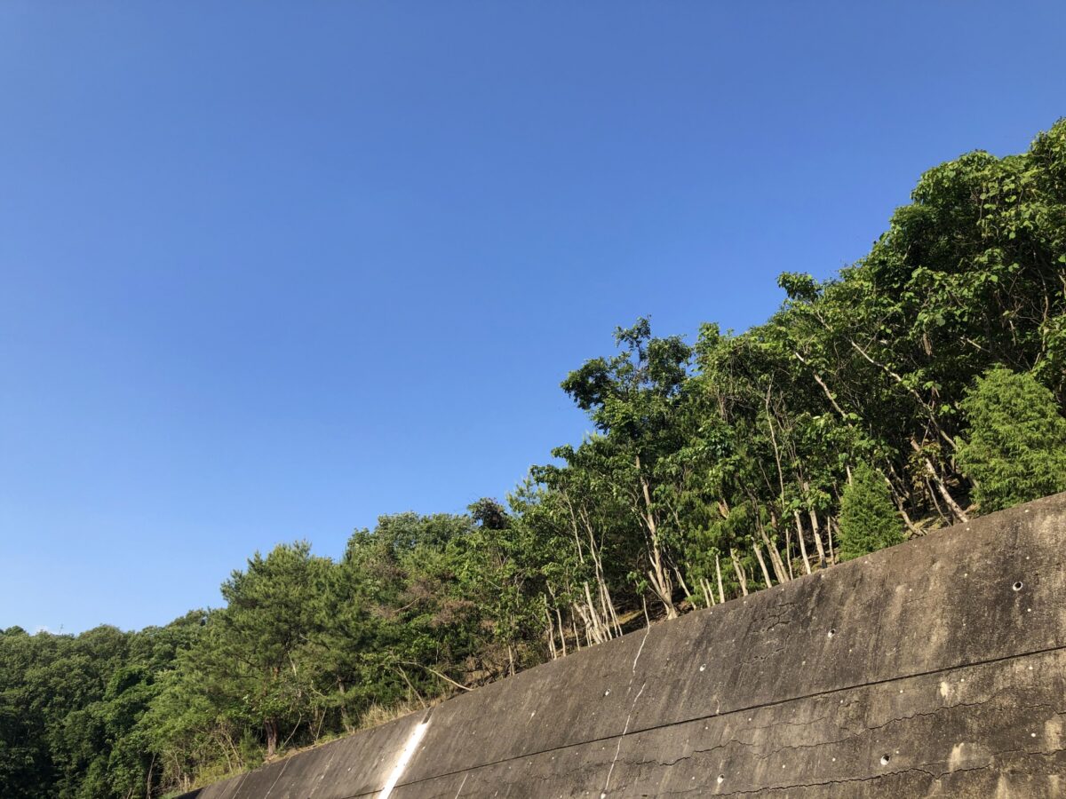 土留め解体